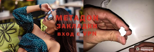 ГАЛЛЮЦИНОГЕННЫЕ ГРИБЫ Горно-Алтайск