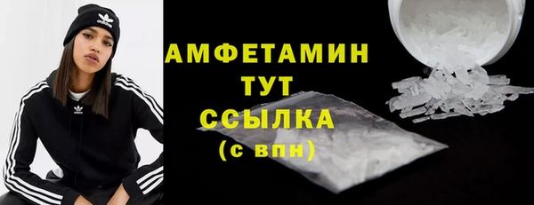 хмурый Абаза