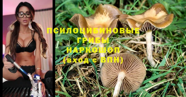 метадон Алексеевка