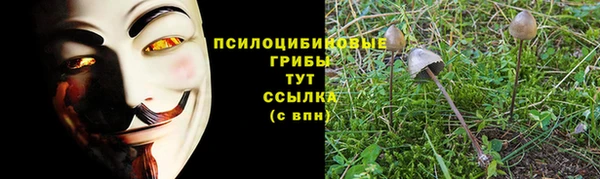 ешки Алексин