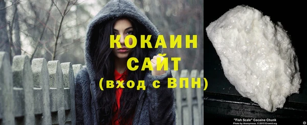 ешки Алексин