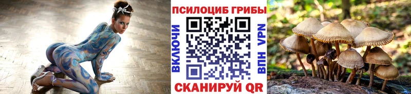 наркотики Чита Псилоцибиновые грибы Magic Shrooms